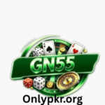 GN55 Game
