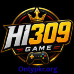 HI309 Game