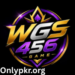 WGS456 Game