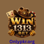 win1313 Game