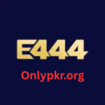 E444 Game