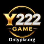 Y222 Game