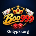 B00999 Game