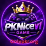 PKNICE Game