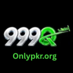 999Q Game
