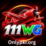 111WG Game